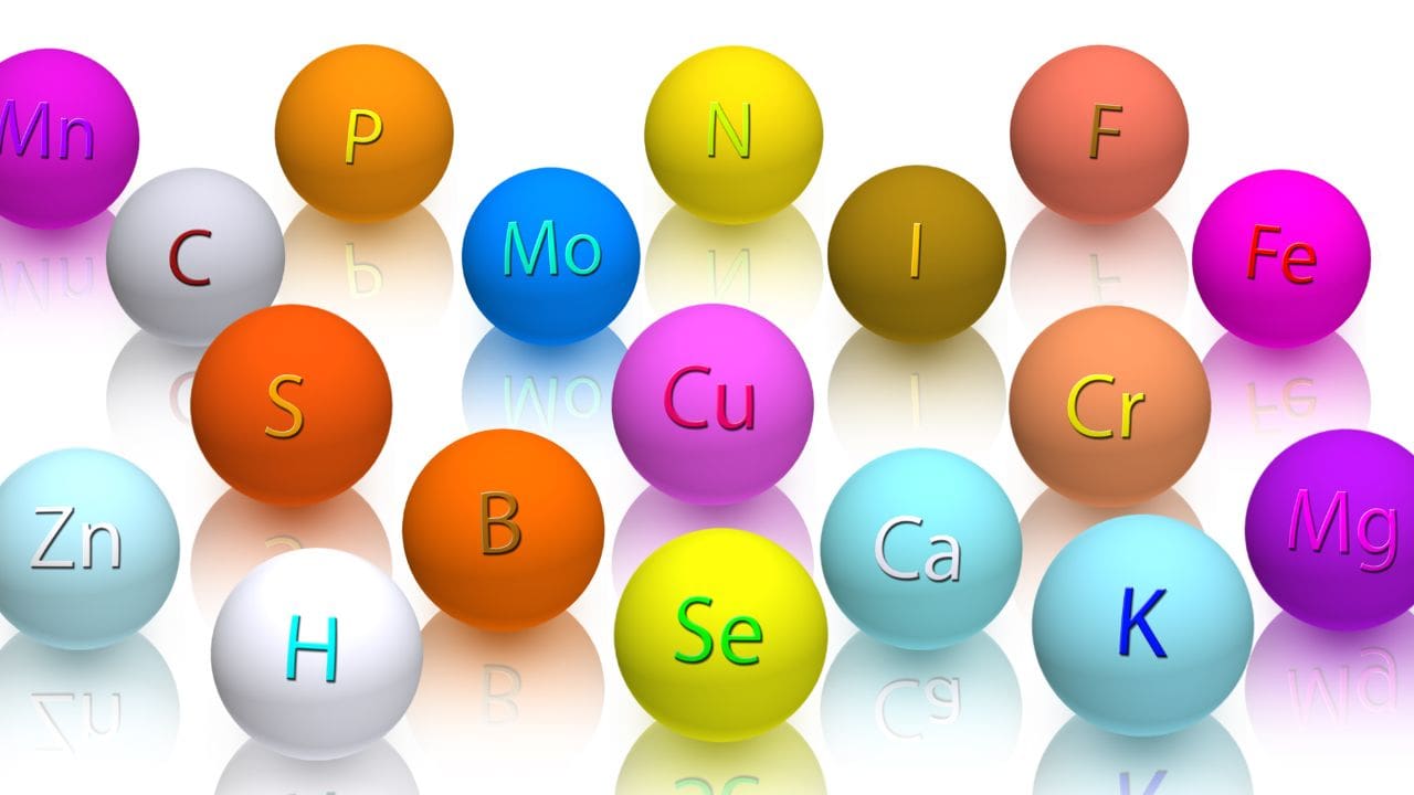 Demystifying Anti-Nutrients: Friend or Foe in Your Food?