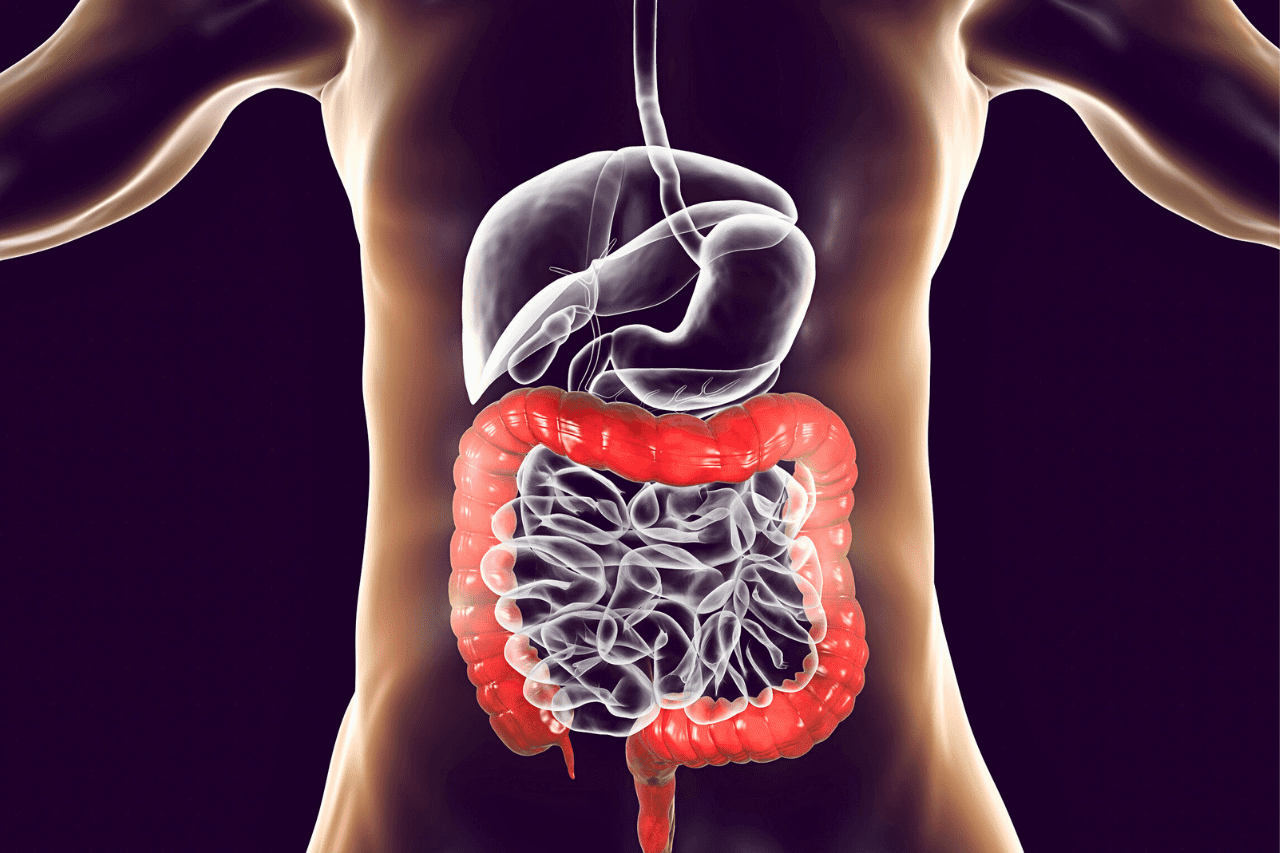 Gut Health, Probiotics, Fermented Foods And Fiber
