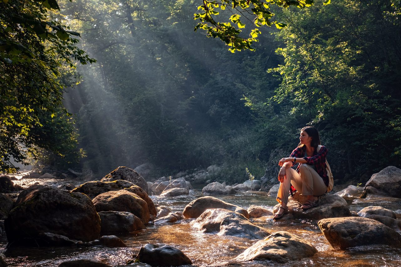 Spirituality and Cult of Nature Exploring spiritual themes in popular culture