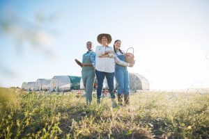 The Importance of Owning Land and Knowing How to Grow Your Own Food in the 21st Century