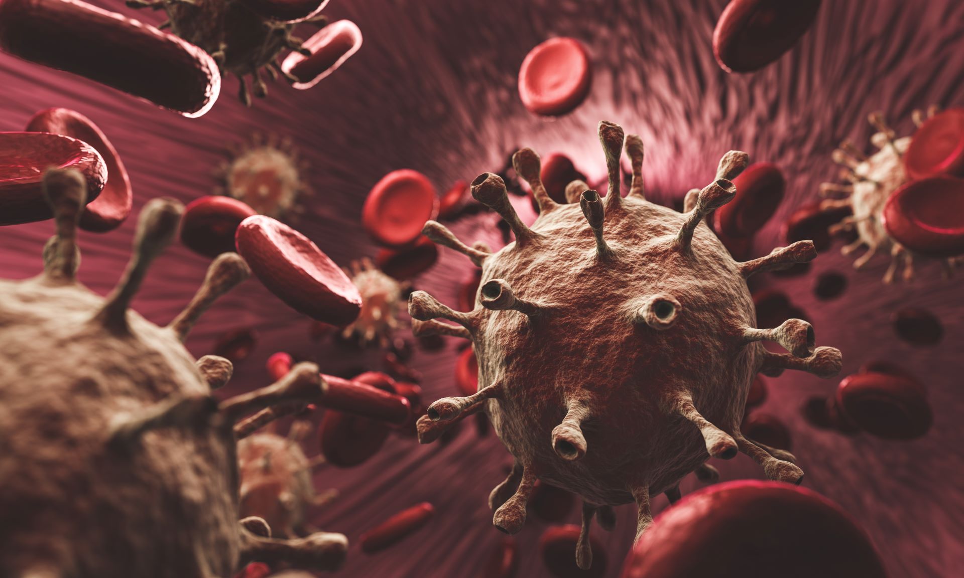 Emerging Viral Diseases and the Enduring Vaccine Debate